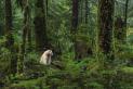 900x600-canada-bc-spirit-bear-great-bear-rainforest-credit-destination-bc-yuri-choufour