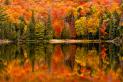 900x600-canada-fall-foliage-lake