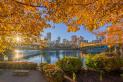 Pittsburgh's North Shore in autumn | Photo credit: Dave DiCello