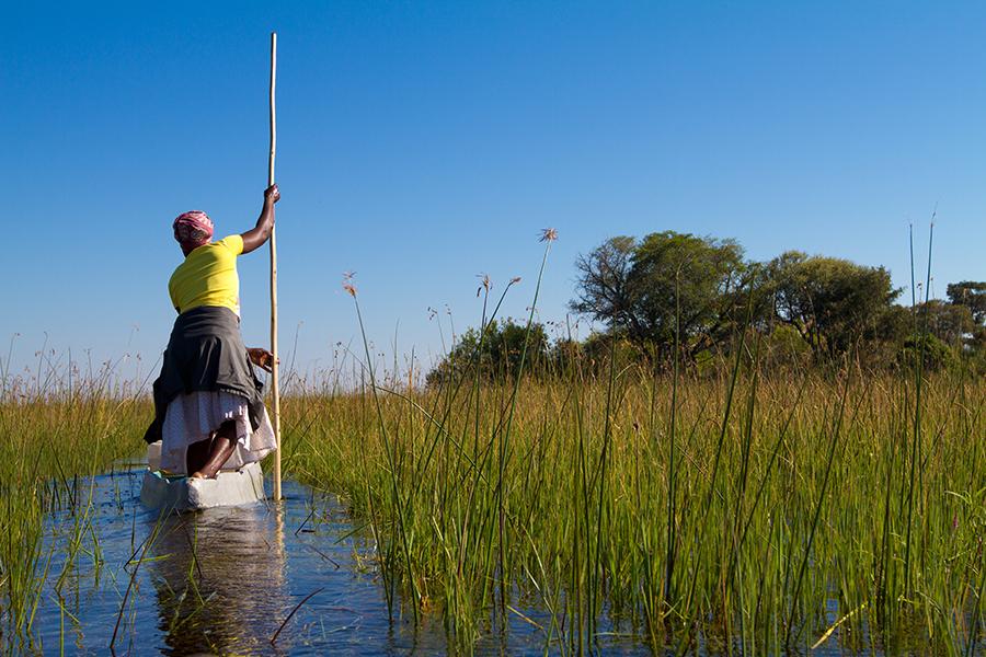Discover the spectacular Okovango Delta