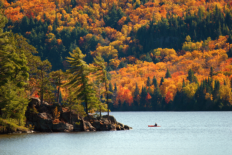 Algonquin Provincial Park in all of it's Autumnal glory