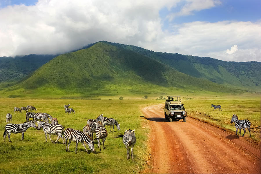 Explore the Ngorongoro Crater | Travel Nation Explore the Ngorongoro Crater | Travel Nation