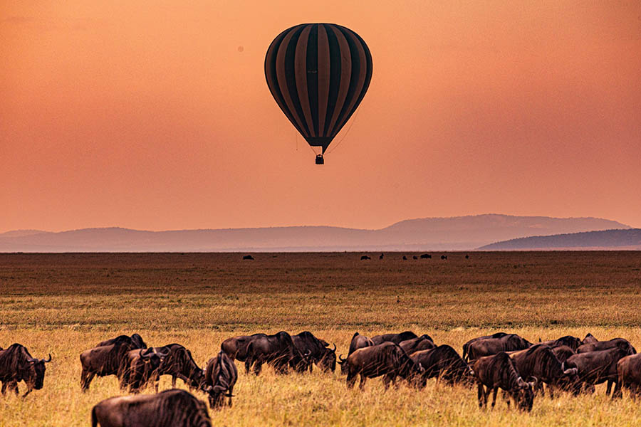 Plan a hot air balloon flight in Tanzania | Travel Nation Plan a hot air balloon flight in Tanzania | Travel Nation