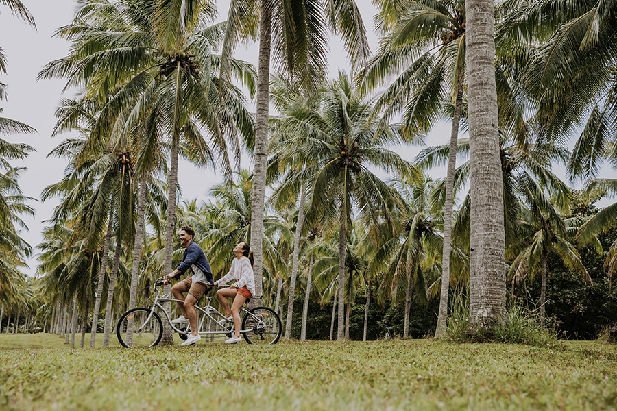 Cycle under the trees at Thala Beach Nature Reserve | Photo credit: Tourism and Events Queensland Cycle under the trees at Thala Beach Nature Reserve | Photo credit: Tourism and Events Queensland