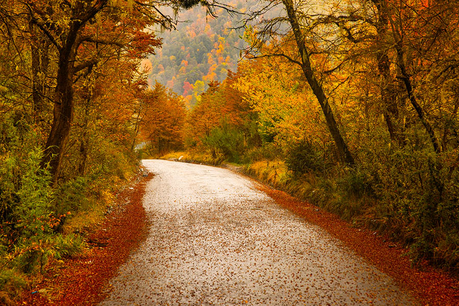 Drive the Road of the Seven Lakes in autumn for rich colour | Travel Nation