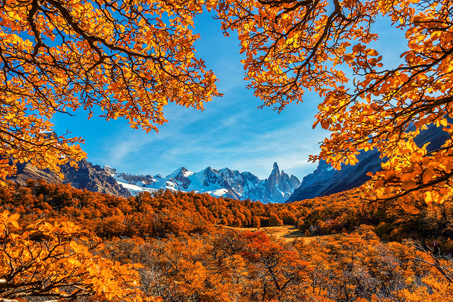 Soak up the beautiful scenery of Los Glaciares | Travel Nation