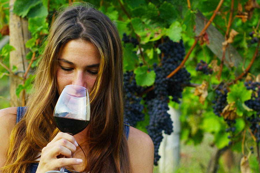 Learn about wine in the vineyards of Mendoza | Travel Nation