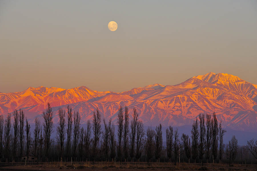 Watch the sunset with a glass of Malbec in Mendoza | Travel Nation