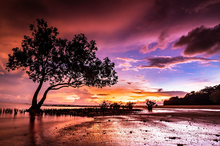 Enjoy amazing sunsets over Darwin, Australia | Travel Nation