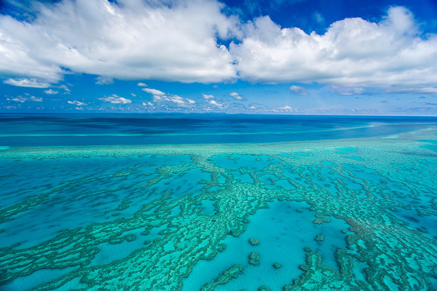 Admire the vast beauty of the Great Barrier Reef | Travel Nation
