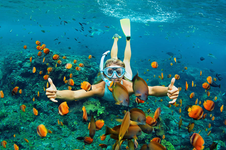 Discover the underwater paradise of the Great Barrier Reef | Travel Nation