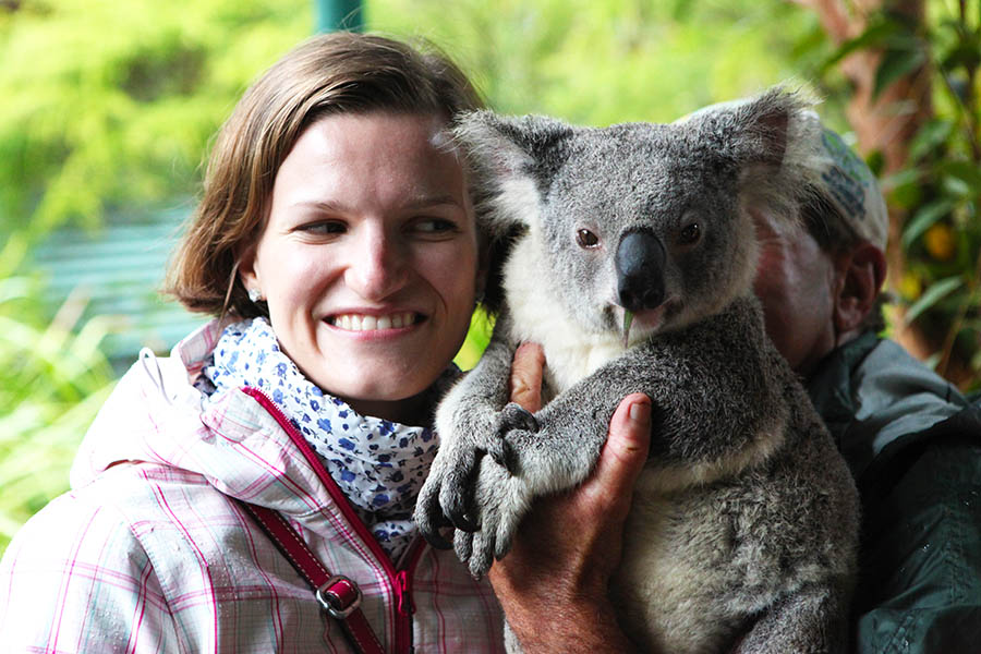 Spot wildlife and meet koalas on an East Coast Australia road trip | Travel Nation