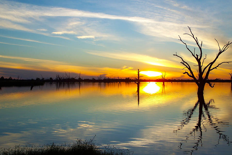 Watch beautiful sunsets along the Murray River, Australia | Travel Nation