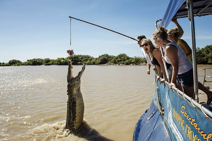See jumping crocs on the Adelaide River