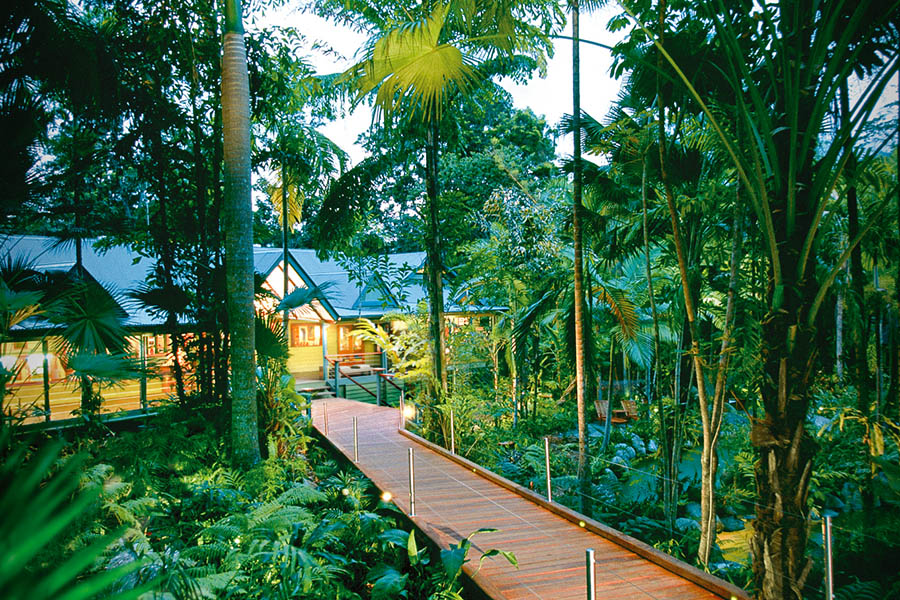 Stay in a luxury lodge hidden in the rainforest | Photo credit: Luxury Lodges of Australia