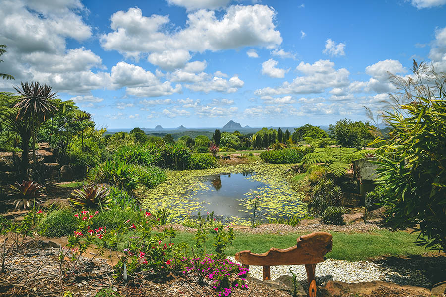 Visit Maleny Botanical Gardens in the Glass House Mountains | Travel Nation