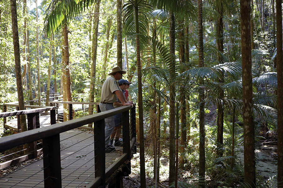 Explore the forest walkways of K'gari | Photo credit: Tourism Australia