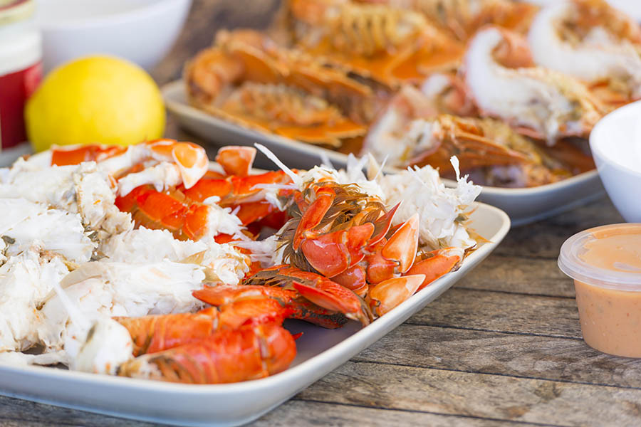 Tuck into a seafood platter in the Sydney sunshine | Travel Nation
