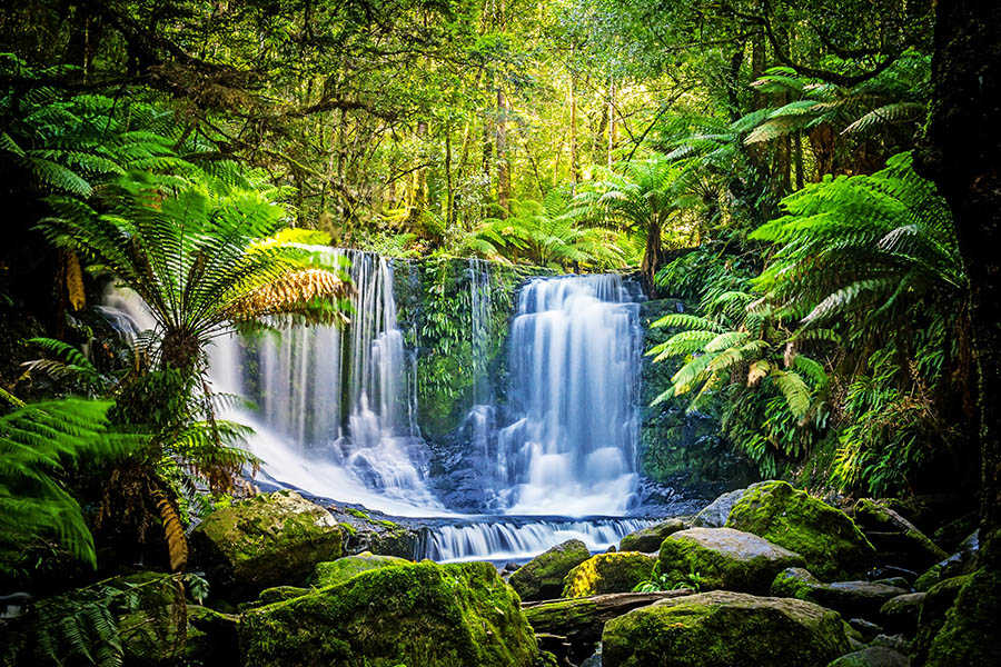 Visit magical Horseshoe Falls in Tasmania | Travel Nation