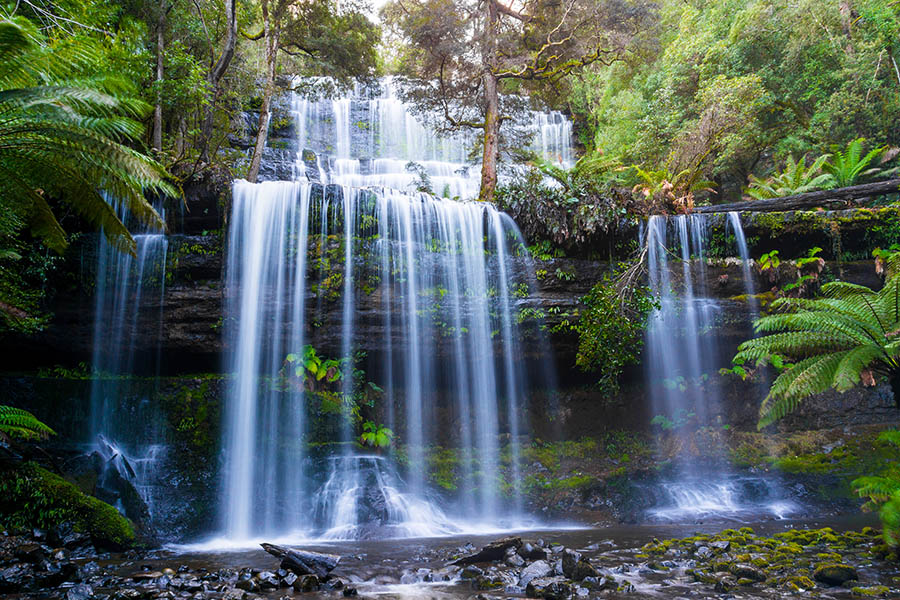Pay a visit to the picturesque Liffey Falls | Travel Nation