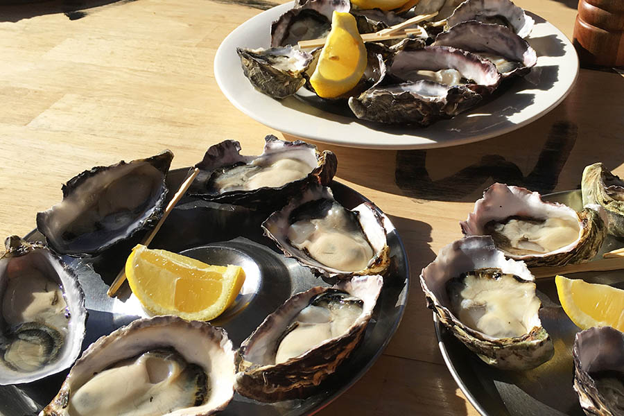Try local oysters at Salamanca Market in Hobart | Travel Nation