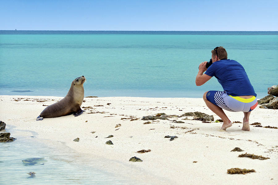 The Abrolhos Islands are a great day trip | Photo credit: Australia's Coral Coast