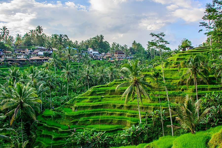 Bali offers great contrasts from quiet hillside rice terraces to the white sandy islands