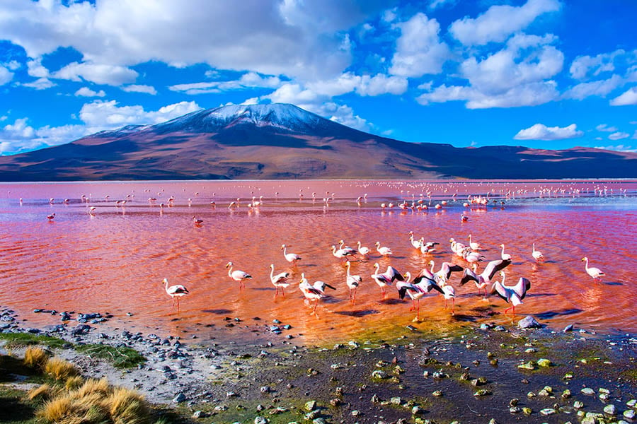 See the coloured lakes near the Uyuni Salt Flats | Travel Nation