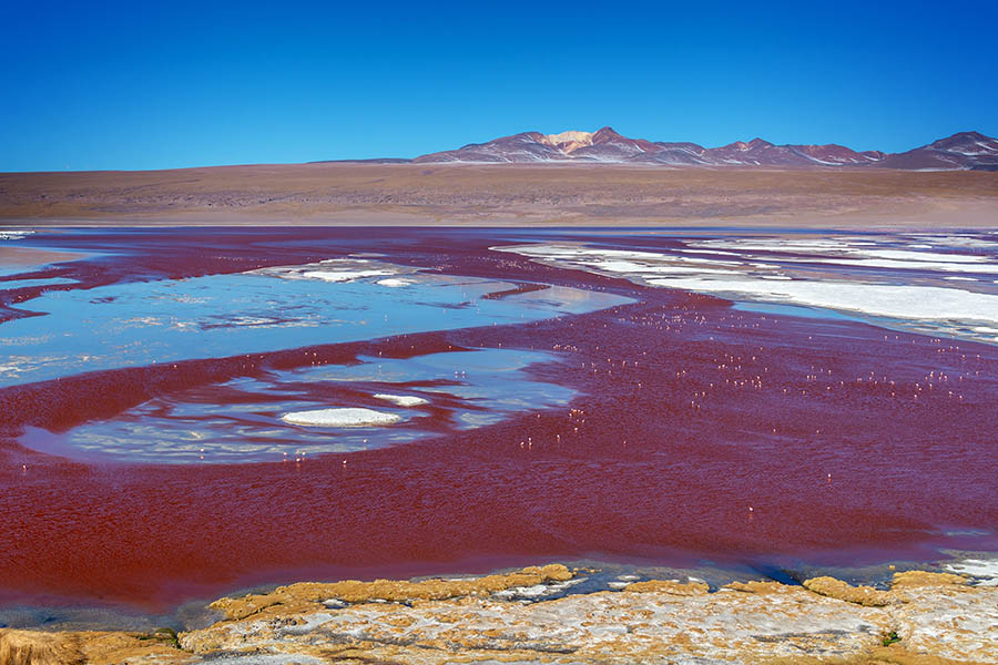 See the coloured lakes of the Bolivian Altiplano | Travel Nation