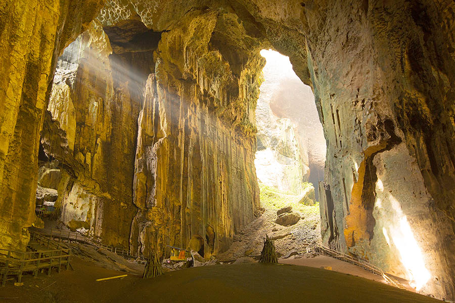 Discover the vast Gomantong Caves