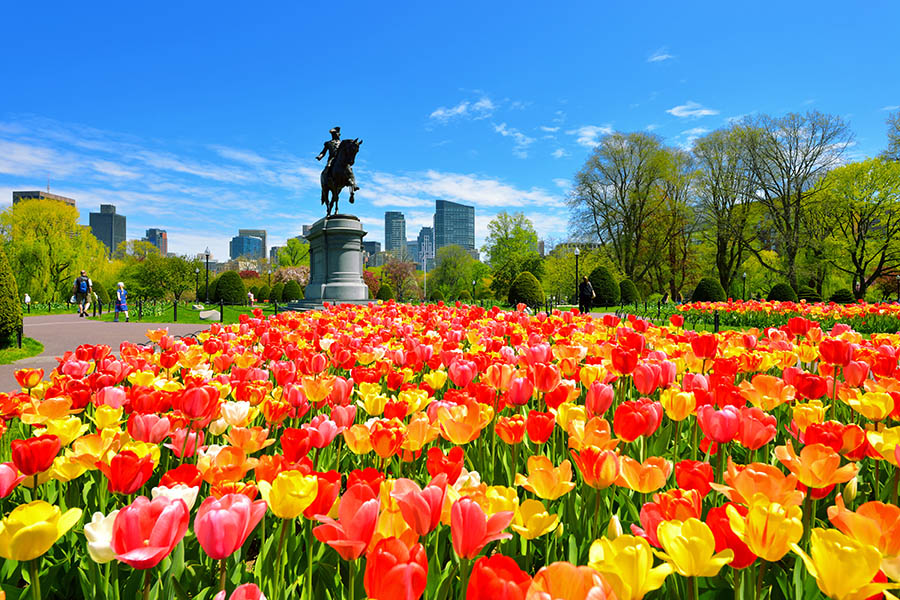 See Boston's public gardens in full bloom | Travel Nation