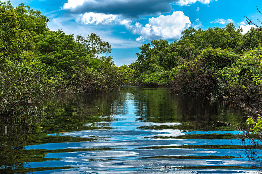Explore the incredible waterways through the Amazon in Brazil | Travel Nation