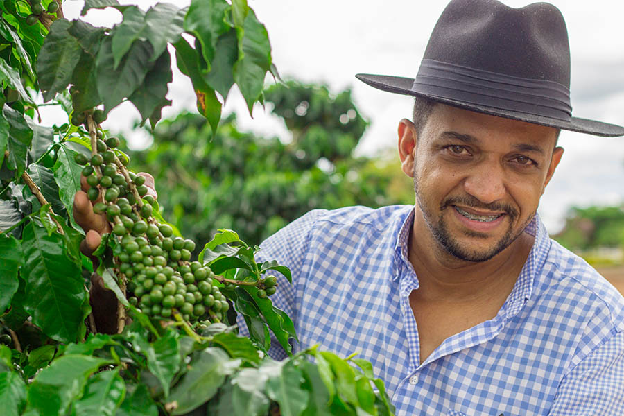 Visit a traditional Brazilian coffee farm | Travel Nation