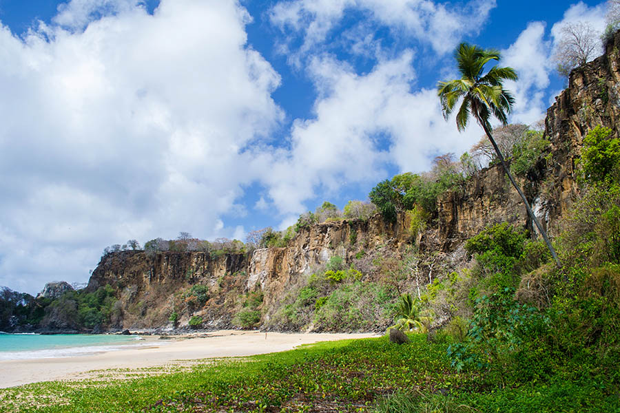 Soak up the sunshine on wild, tropical beaches in Fernando de Noronha | Travel Nation