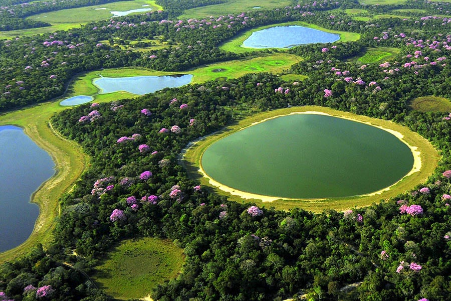 Explore the extraordinary Pantanal | Best places to visit in July
