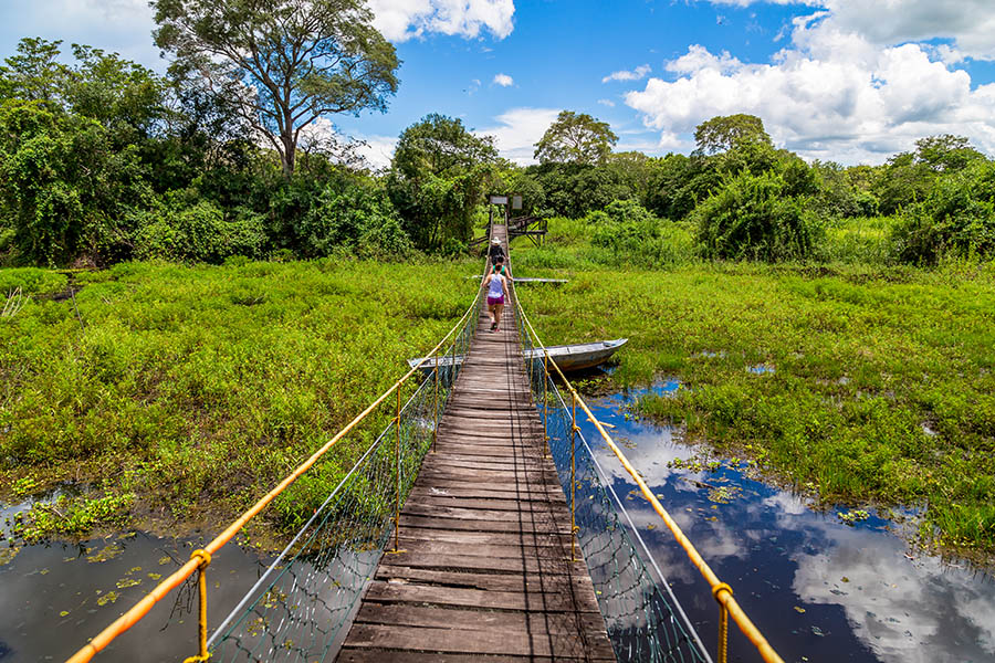 Explore the incredible scenery of Brazil's Pantanal | Travel Nation