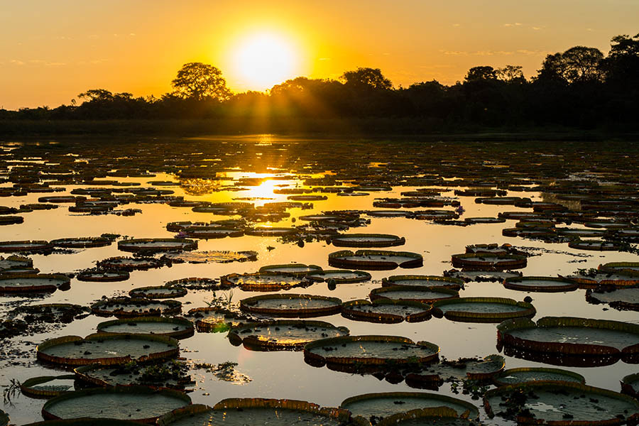 See spectacular sunsets on Brazil's Pantanal | Travel Nation