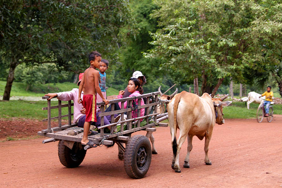 Take a 30-minute ox cart ride through the village to a local market