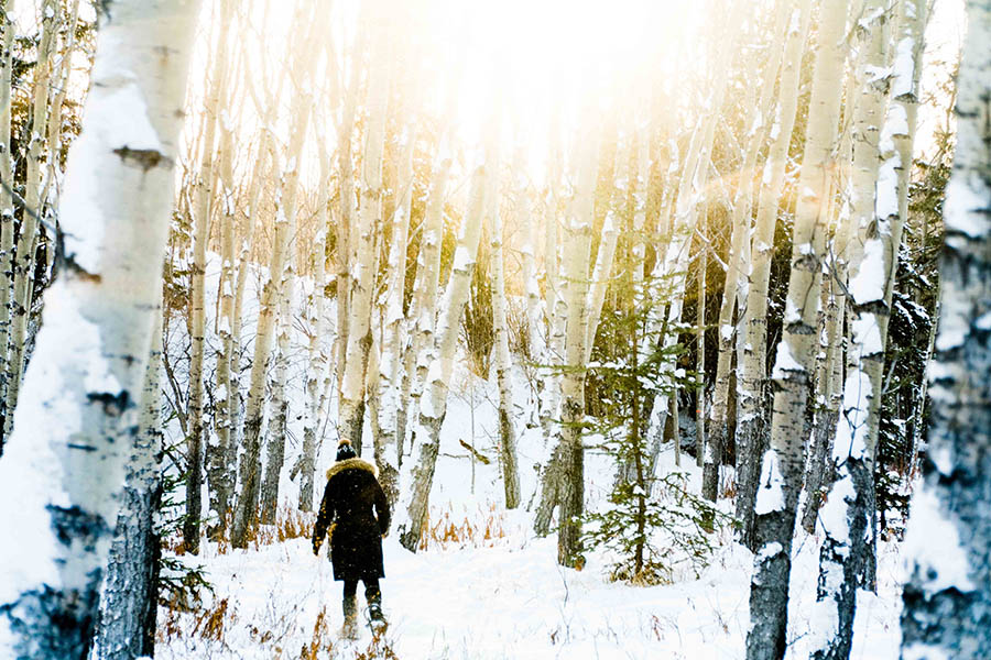 Hike through snow-covered forests | Photo credit: Boreale Ranch