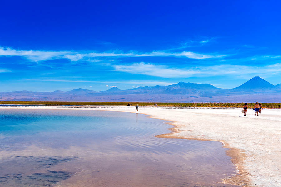 Wander around Chile's amazing salt lagoons | Travel Nation