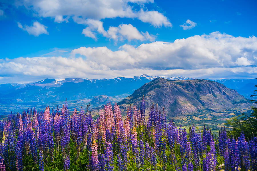 See amazing views in spring from the Carretera Austral | Travel Nation