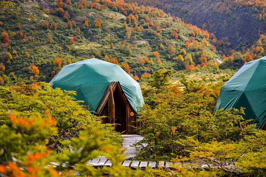 Sleep in the beautiful forests of Patagonia| Photo credit: Ecocamp Patagonia