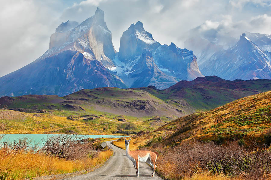 Follow scenic roads through Torres del Paine National Park | Travel Nation