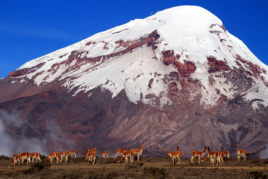 Get stunning views over the Chimbarazo volcano | Travel Nation