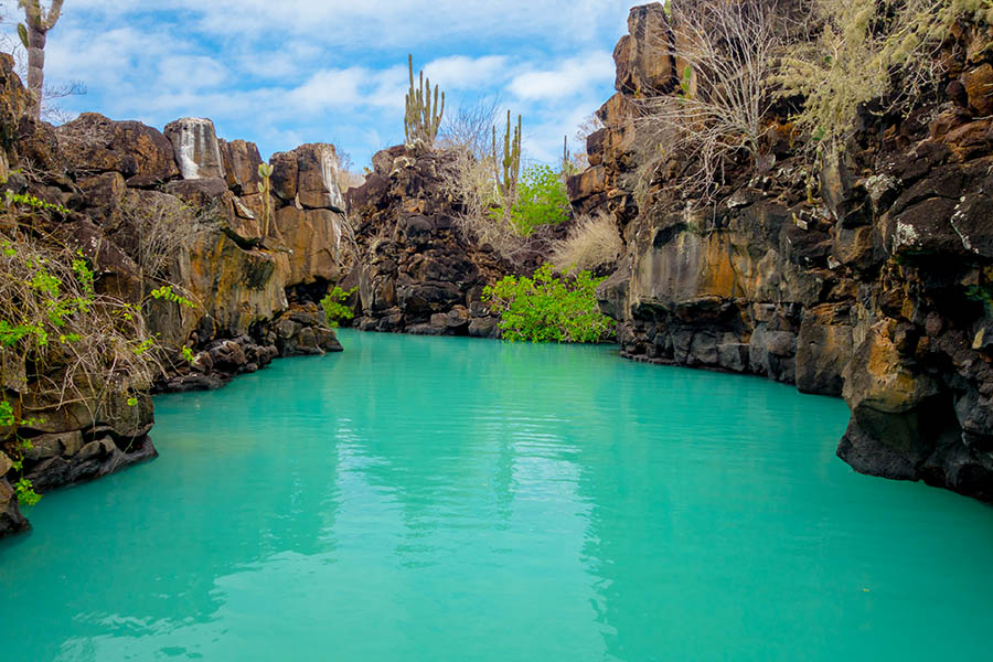 Discover bright blue lagoons and canyons in the Galapagos Islands | Travel Nation