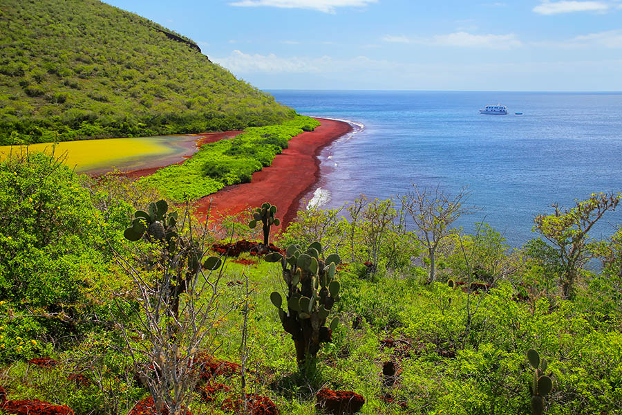 Explore incredible red beaches in the Galapagos Islands | Travel Nation