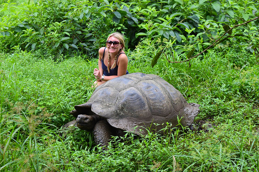 Spot giant tortoises in the Galapagos Islands | Travel Nation