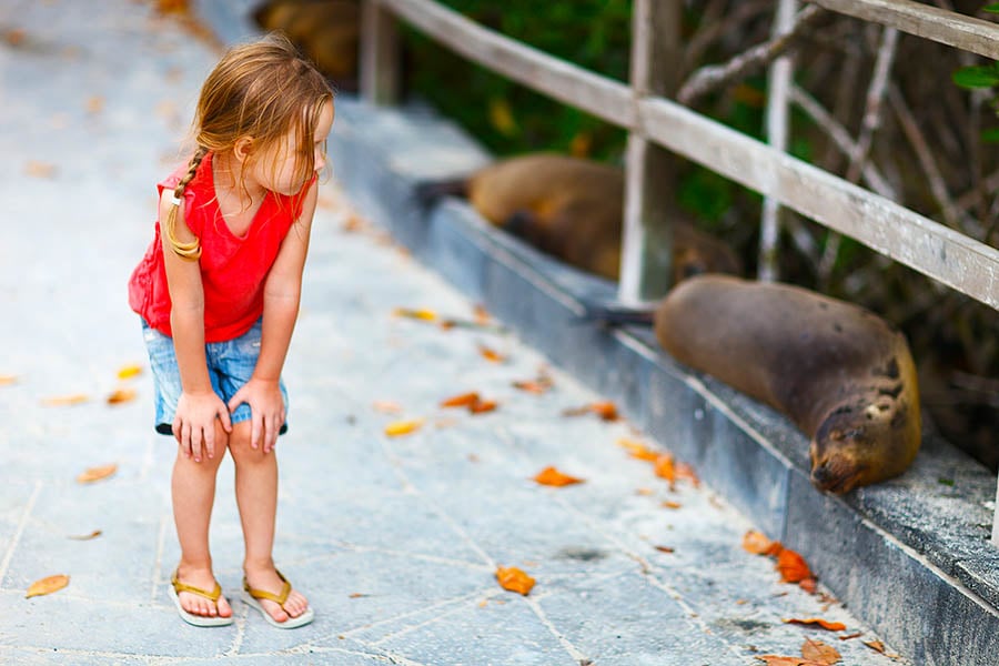 Little girl with sea lion on Galapagos Islands | Travel Nation