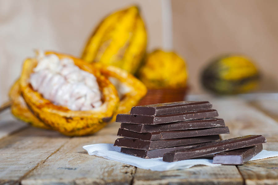 Learn how Ecuadorian chocolate is made | Travel Nation