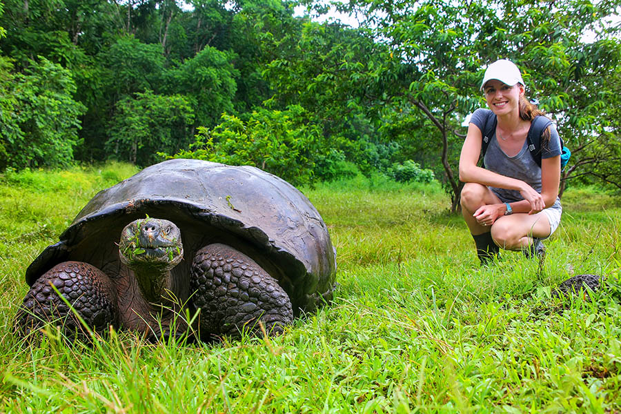 See giant tortoise in the Galapagos Islands | Travel Nation